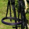 Violet Black Noseband