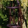 Violet Brown Bridle Main
