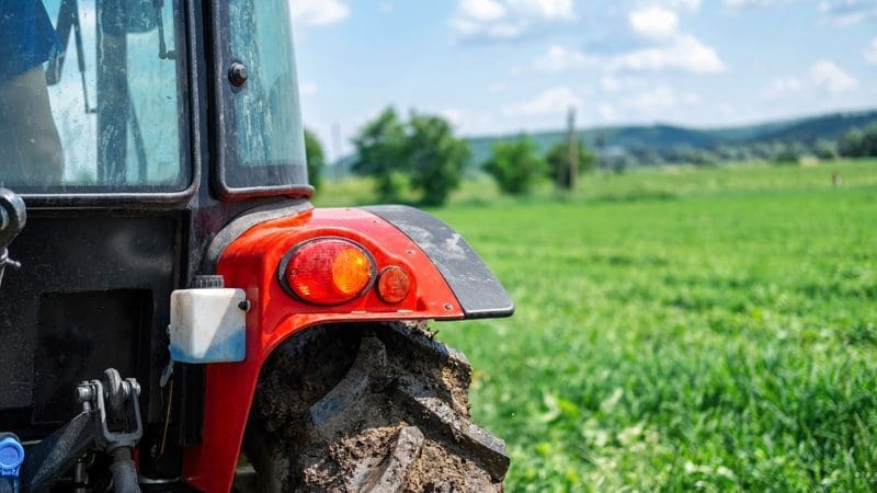 Why its bad for horses to eat cut grass