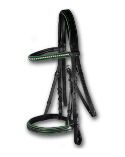 Crystal Bridle Black with Hunter Green Piping