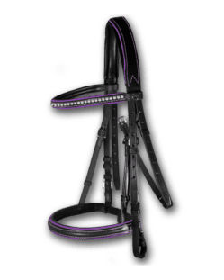 Crystal Bridle Black with Violet Piping