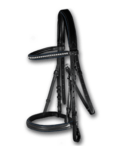 Crystal Bridle Black with Petrol Piping