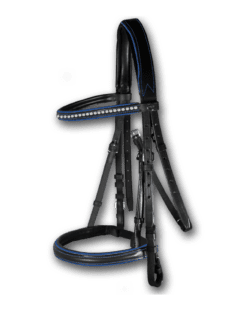 Crystal Bridle Black with Royal Blue Piping