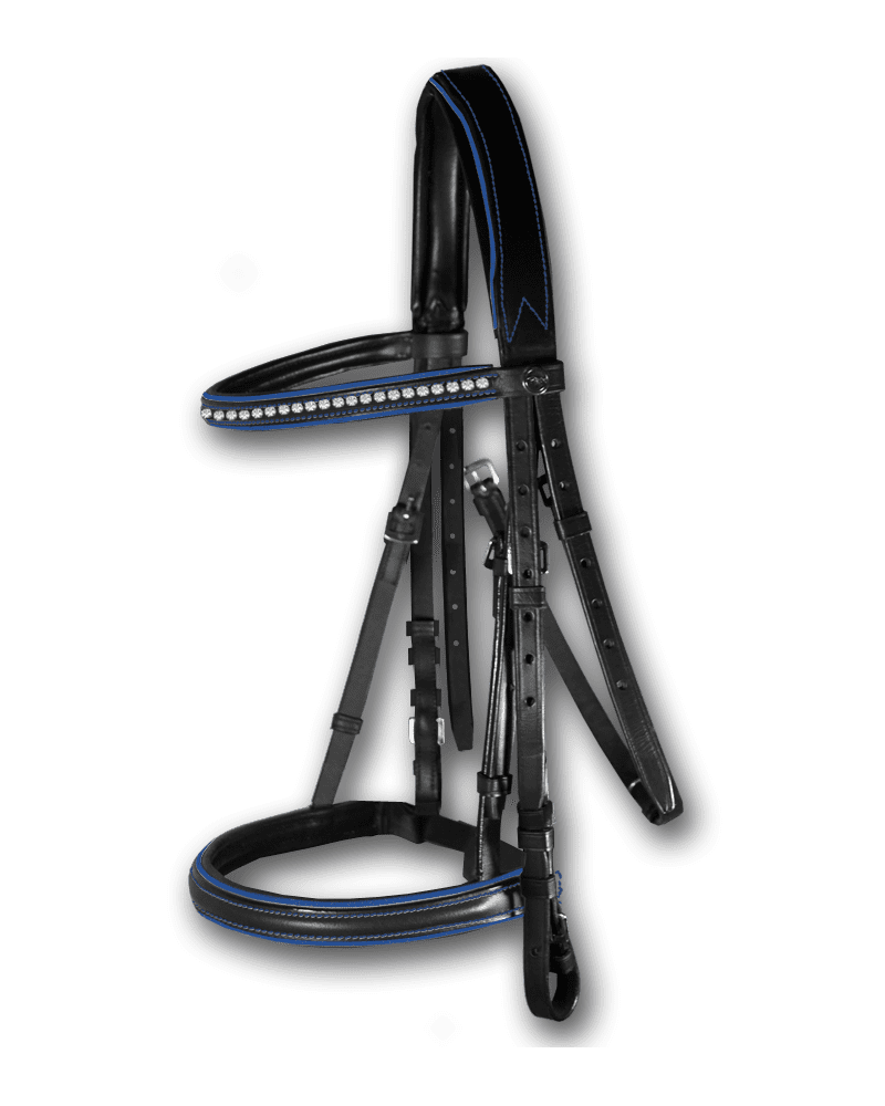 Crystal Bridle Black with Royal Blue Piping