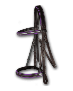 Crystal Bridle Brown with Violet Piping