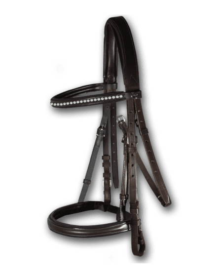 Crystal Bridle Brown with Black Piping