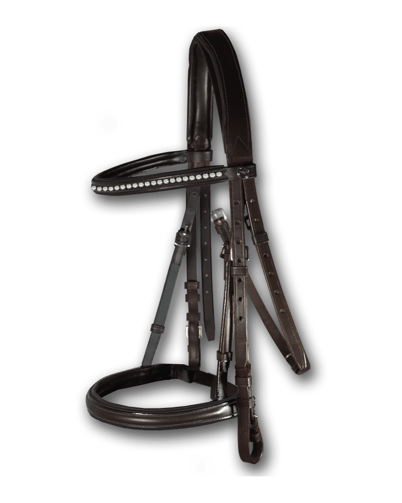 Black and Brown Full Size Leather Bridle