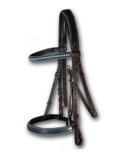 Crystal Bridle Brown with Atlantic Blue Piping