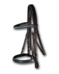 Crystal Bridle Brown with Teal Piping