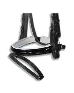 Noseband Black Patent with White Padding Flash