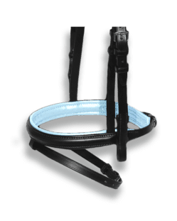 Noseband Black with Baby Blue Padding - Flash