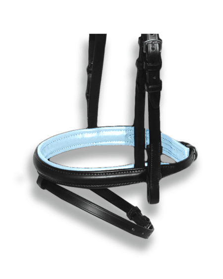 Noseband Black with Baby Blue Padding - Flash