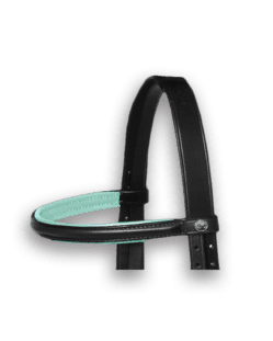 Browband Black with Mint Padding