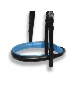 Noseband Black with Atlantic Blue Padding - Plain