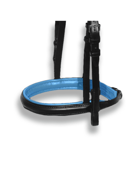Noseband Black with Atlantic Blue Padding - Plain