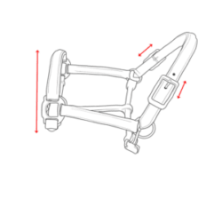 Headcollar Size Guide