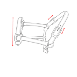 Head collar Sizes for horses