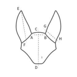 Mattes Ear horse Bonnet Size Chart, Fly Bonnet measurements