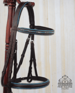 plain snaffle bridle