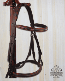 Pink Equine English Bridle