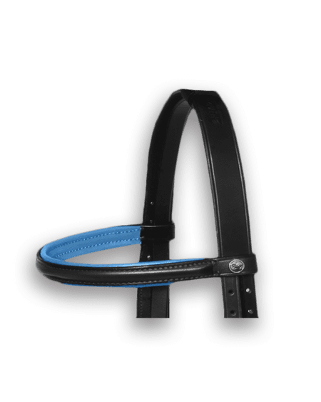 Browband Black with Atlantic Blue  Padding
