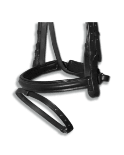 Noseband Black Flash