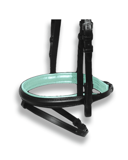 Noseband Black with Mint Padding - Flash