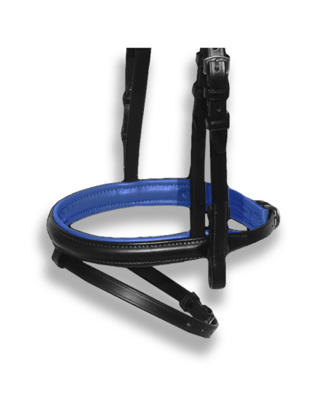 Noseband Black with Royal Blue Padding - Flash