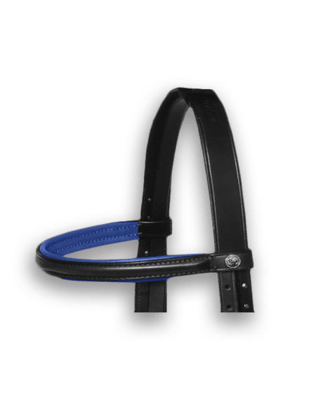 Browband Black with Royal Blue Padding