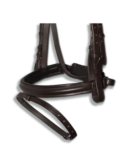 Noseband Brown Flash