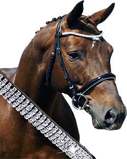 Diamond Bridles