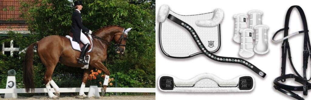 Dressage Horse Tack Collection in White