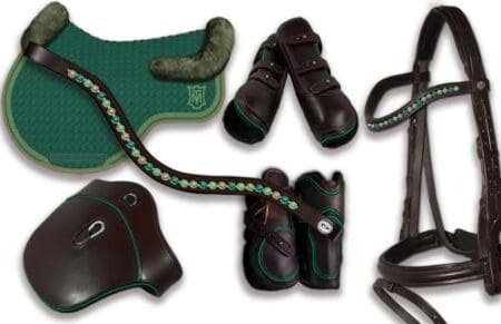 Colour matching Horse Tack Sets | Ignite your creativity!