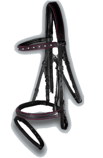 Sport Interchange Crystal Flash Bridle with Aubergine Piping