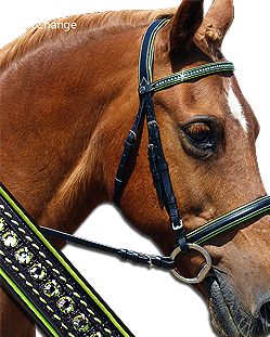 Design your Custom Bridle