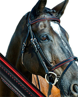 In Stock Bridles