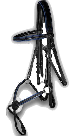 Sport Interchange Grackle Bridle with Royal Blue Piping