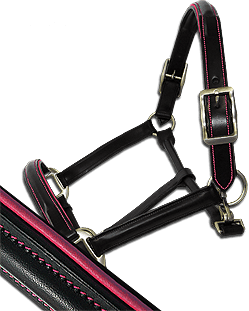 Horse Head collars