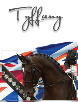 Tyffany Range by Pink Equine