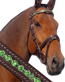 Tyffany Bridles