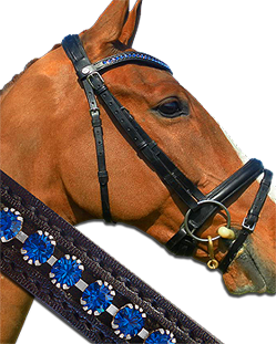 Horse Bridles