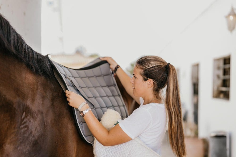 A dry saddlepad