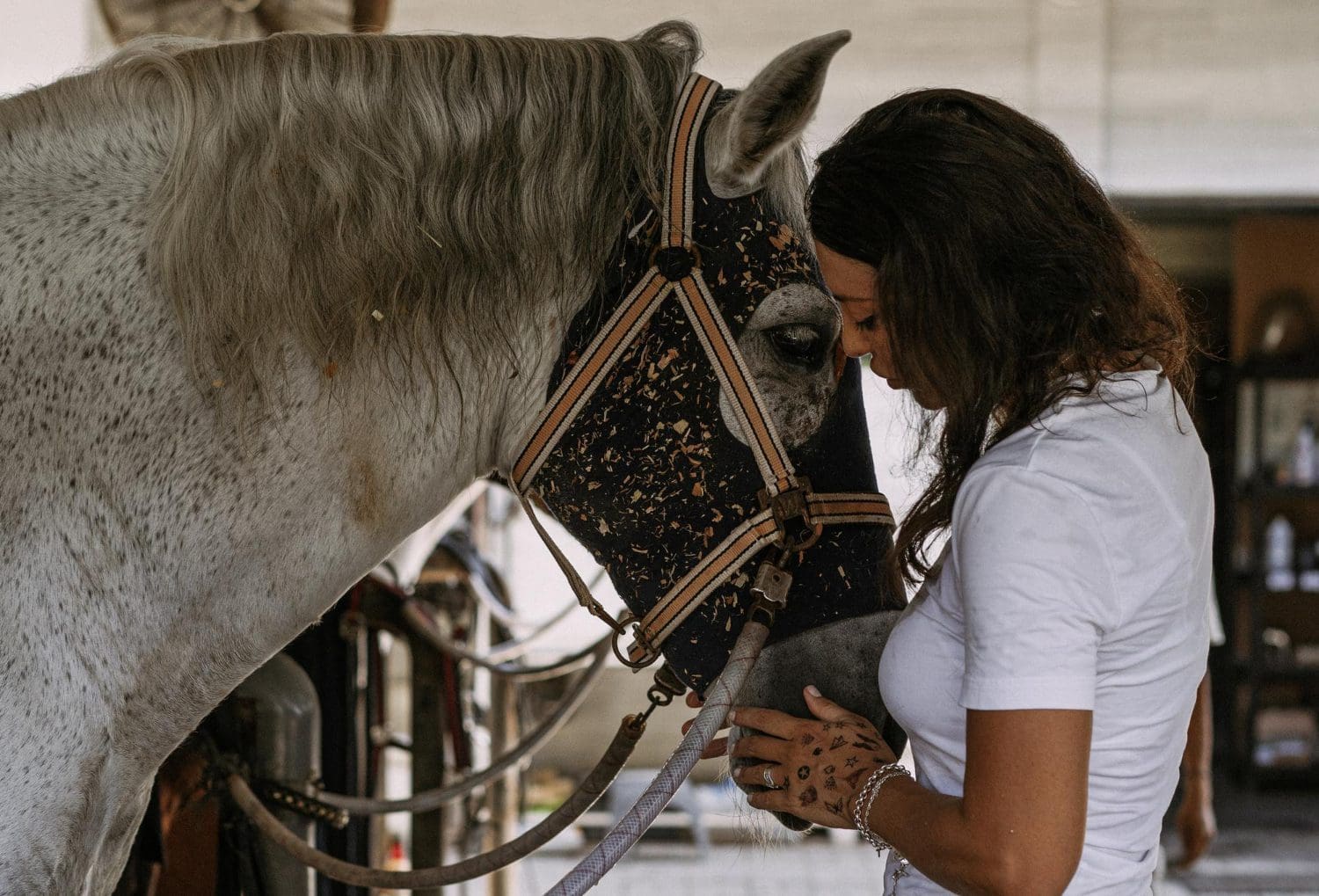 Beginning that bond with your horse