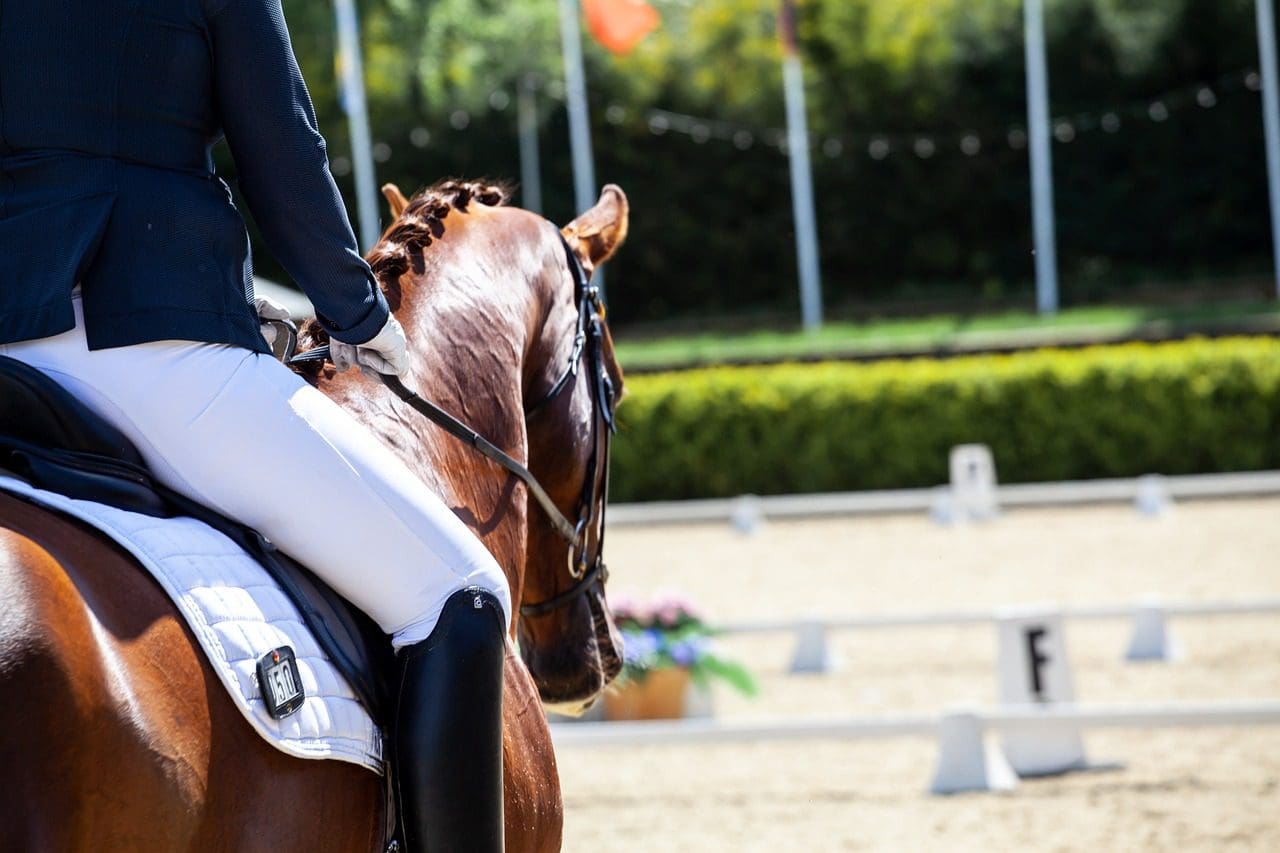 Dressage Competition