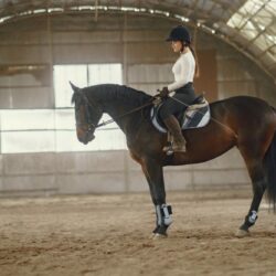 Dressage Rider Training