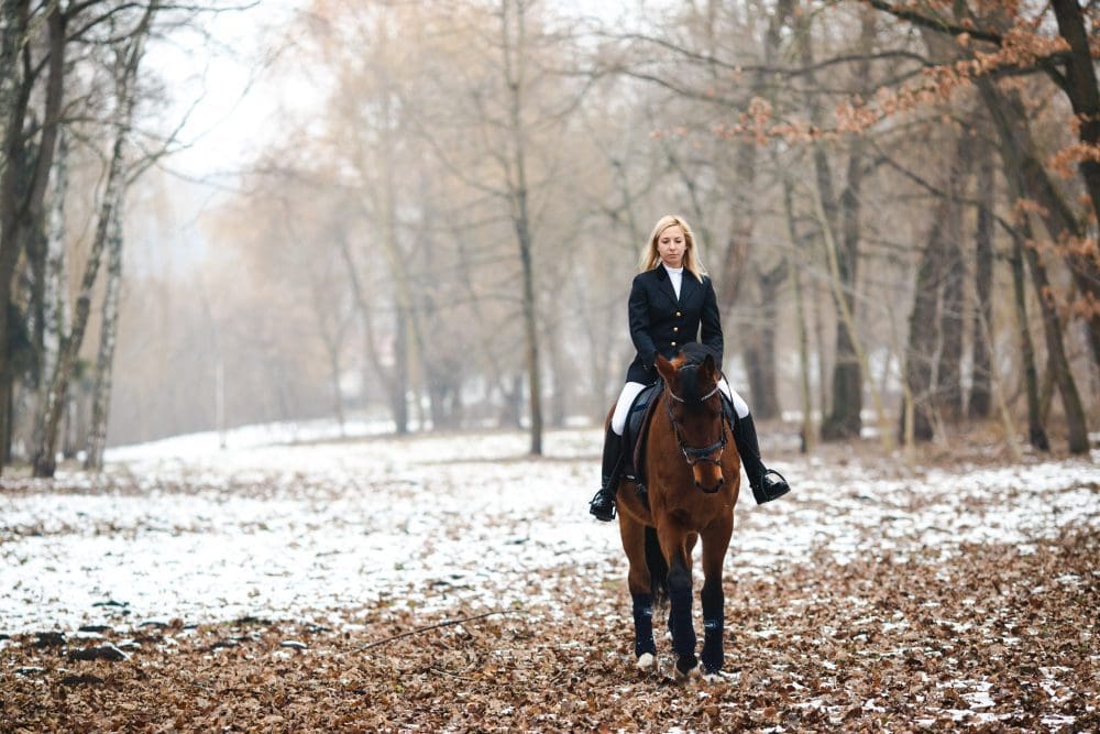 Dressage Rider Training Plan