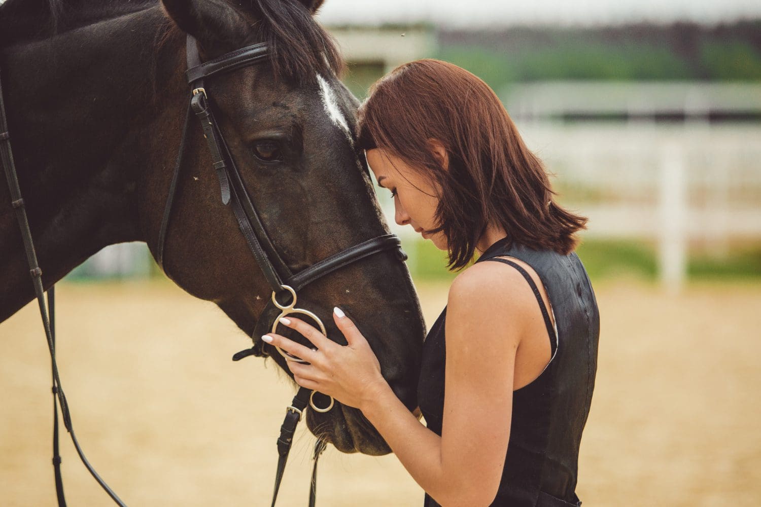 The dressage relationship between horse and rider