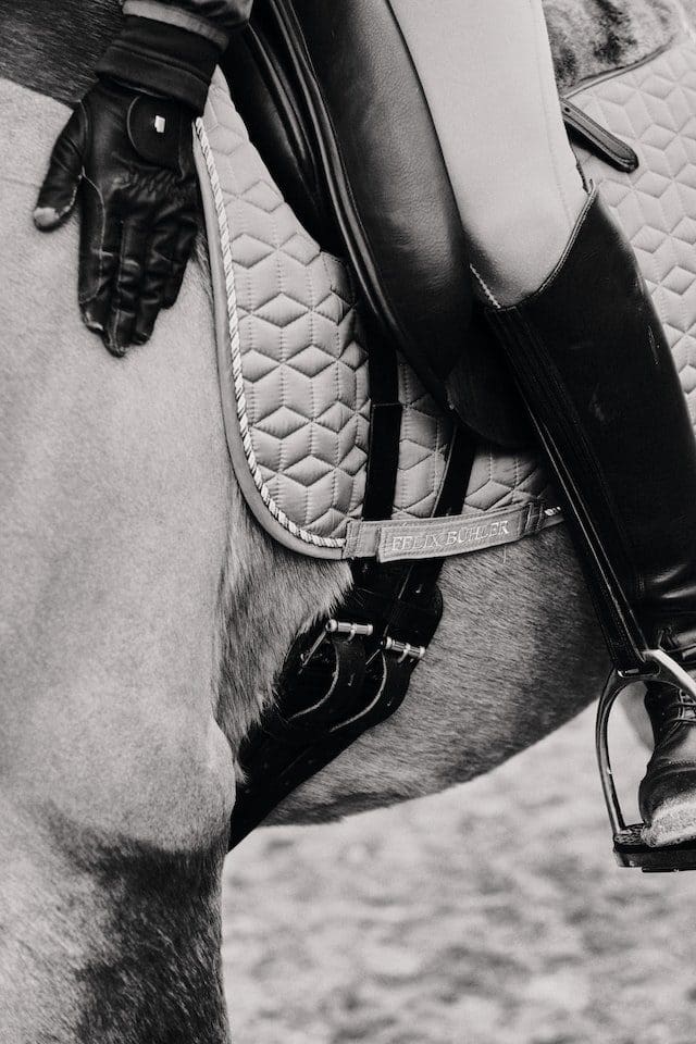 FEI Dressage Rules Rider Attire