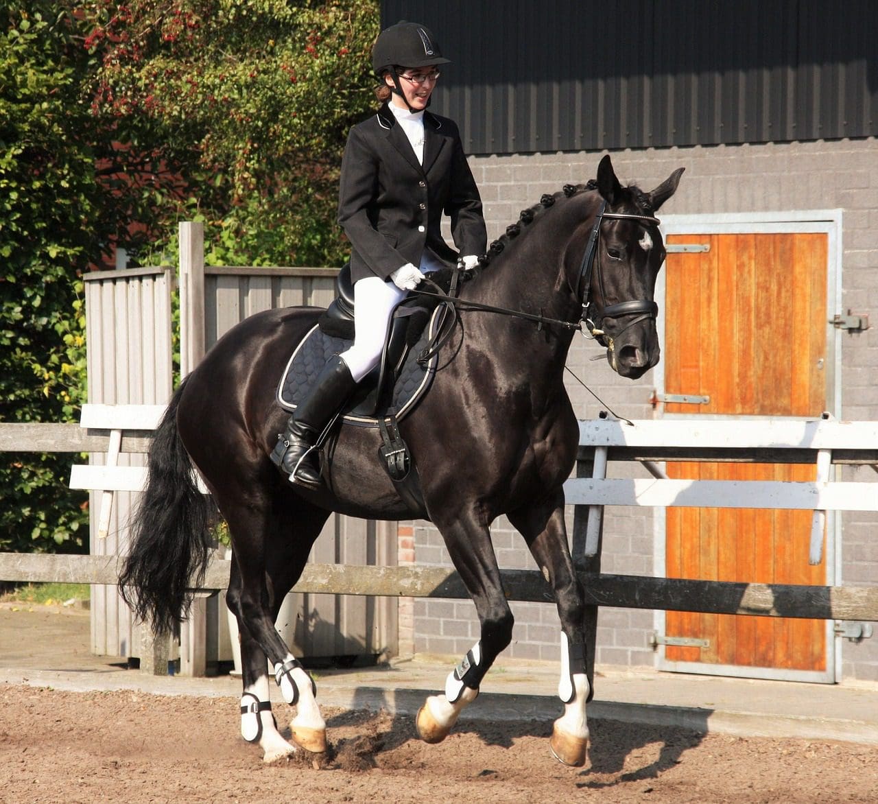 A Lady practicing dressage on her black horse