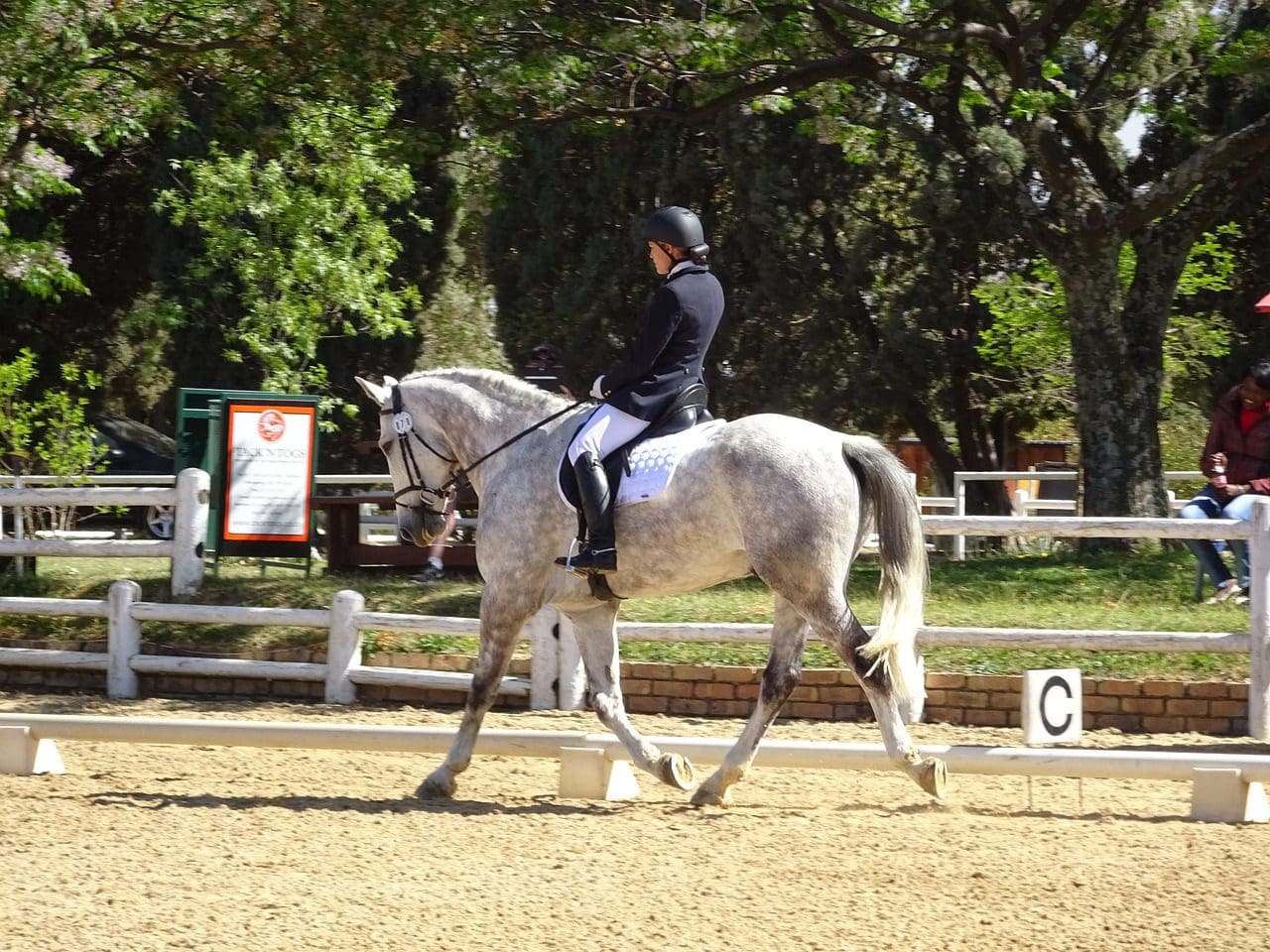 Lady Riding at a local dressage competition